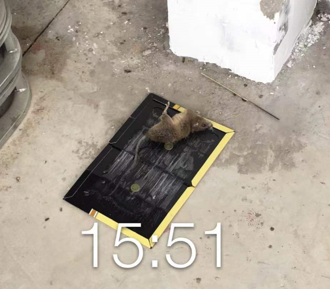 1644462165753558.png